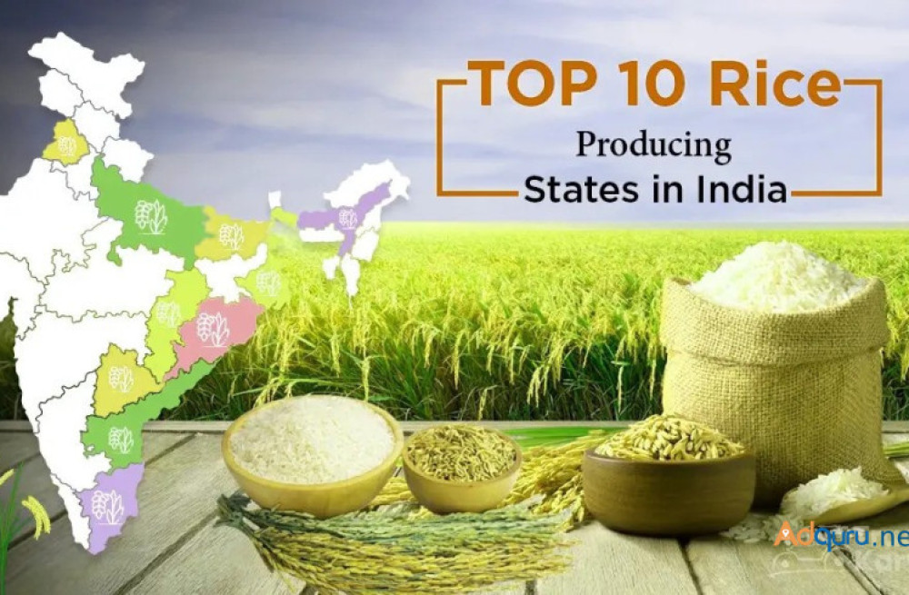 highest-rice-producing-states-in-india-big-0