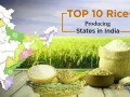 highest-rice-producing-states-in-india-small-0