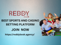 reddybook-the-best-place-for-gamblers-online-small-0