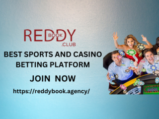 Reddybook: The Best Place For Gamblers Online