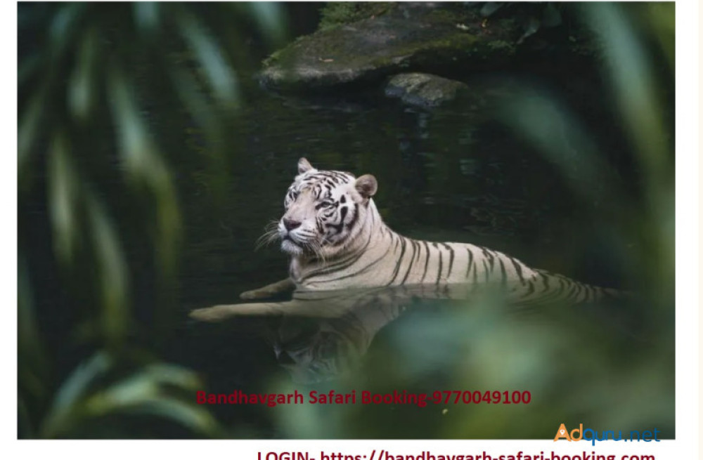 bandhavgarh-safari-booking-big-0