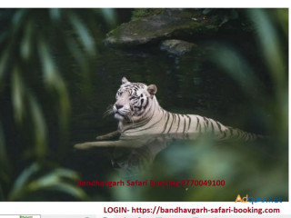 Bandhavgarh Safari Booking