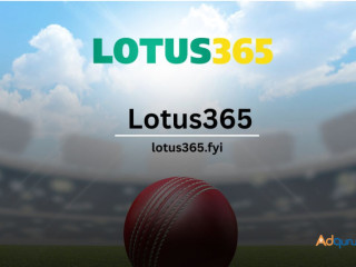 Lotus365: Where Entertainment Meets Innovation in Online Gaming