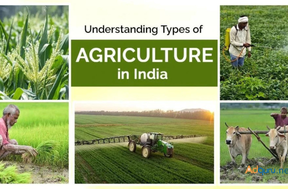 most-popular-agriculture-types-in-india-big-0