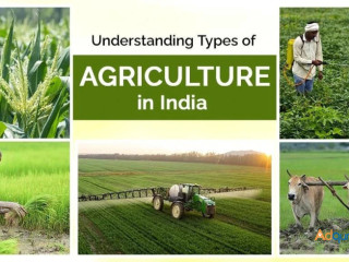 Most Popular Agriculture Types in India