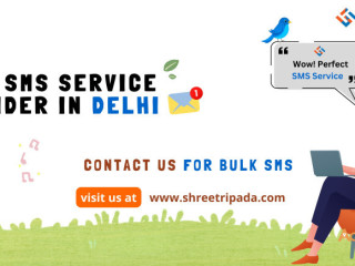 Bulk SMS Service Provider in Delhi - Cheap & Best