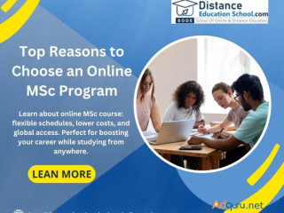 Why an Online MSc Course is Perfect for Busy Professionals in 2025