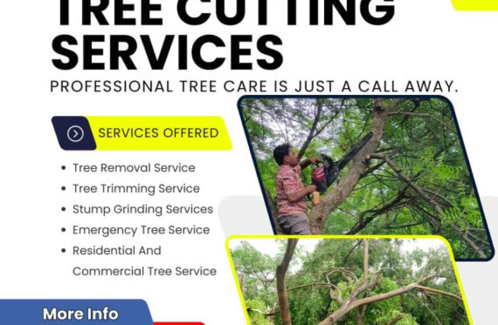 top-tree-cutting-services-in-hyderabad-expert-care-by-nhn-trees-cutting-big-0