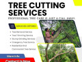 top-tree-cutting-services-in-hyderabad-expert-care-by-nhn-trees-cutting-small-0