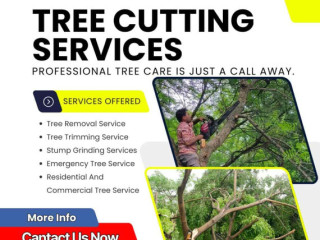 Top Tree Cutting Services in Hyderabad – Expert Care by NHN Trees Cutting