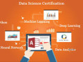 data-analyst-course-in-delhi-sla-with-placement-110010-small-0