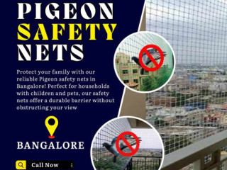 Transform Your Home: Reliable Pigeon Safety Nets by Prestige!