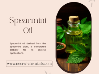 Spearmint Oil Wholesalers in India