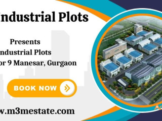 M3M Industrial Plots Manesar - Where Dreams Take Root!