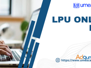 LPU Online MBA