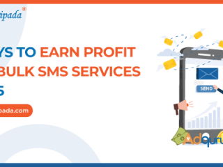 10 Ways to Earn Profit with Bulk SMS Services in 2025