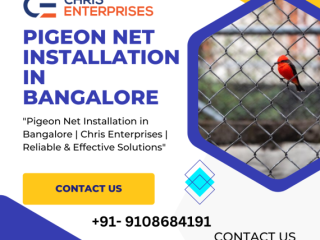 Pigeon Net Installation in Bangalore