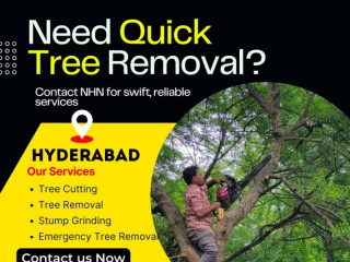 Safe and Affordable Tree Removal Services in Hyderabad – Call NHN Today!