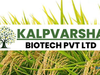 Kalpvrksh Biotech Mushroom and Compost Supplier