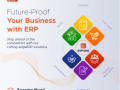 best-erp-for-software-companies-in-coimbatore-small-0