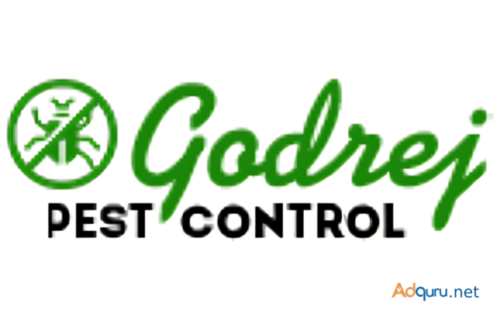 cockroach-pest-control-service-in-delhi-big-0