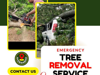 Fast & Reliable Emergency Tree Removal – Call NHN Trees Cutting Hyderabad Today!