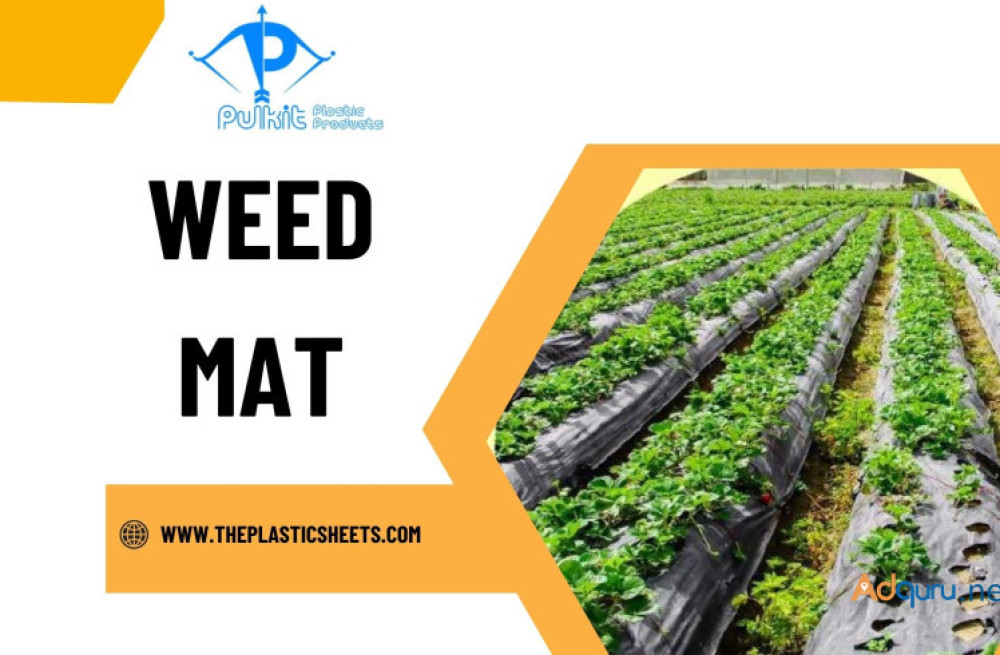 weed-mats-vs-traditional-weed-control-methods-which-is-better-big-0