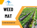 weed-mats-vs-traditional-weed-control-methods-which-is-better-small-0