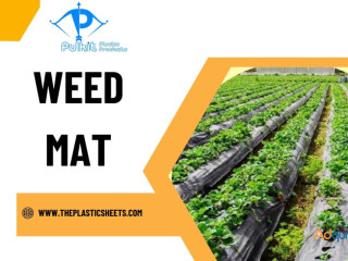 Weed Mats vs. Traditional Weed Control Methods: Which Is Better?