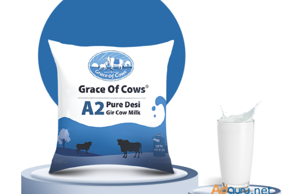 grace-of-cows-provides-the-best-a2-desi-cow-milk-try-now-big-0