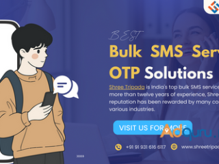 Bulk SMS Service and OTP Solutions: A Perfect Match for Growth