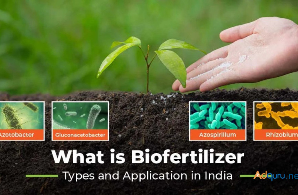 advantages-of-biofertilizers-big-0