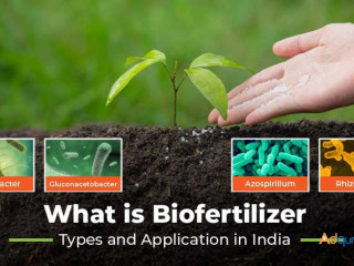 Advantages of Biofertilizers