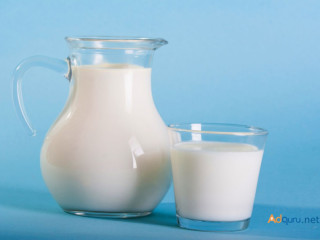 Best Fresh Desi Gir Cow Milk Available in Ahmedabad