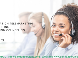 Gandalf Services: Outsourcing and Offshoring Consulting providing