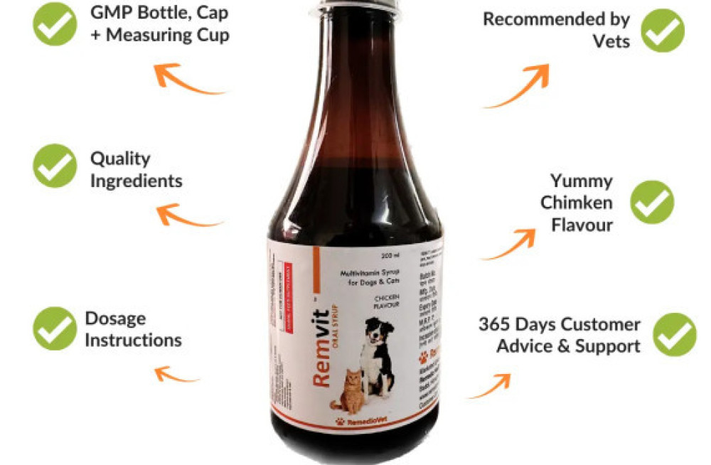 remvit-syrup-the-perfect-multivitamin-for-your-dog-big-0