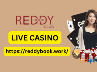 Reddybook: Your Ultimate Betting Hub