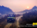 dooars-package-tour-with-jeep-safari-the-best-way-to-explore-eastern-himalayas-small-0