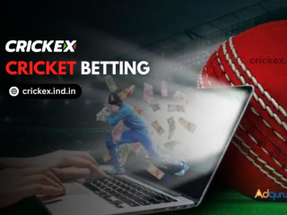 Crickex: Your Premier Betting Destination