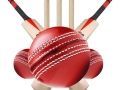 win-big-with-gullybet-online-cricket-betting-join-now-small-0