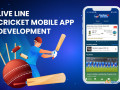 live-line-cricket-score-app-development-company-technoloader-small-0