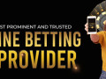 tigerexchange247a-leading-online-betting-and-gaming-platform-small-0