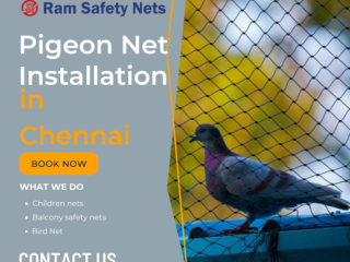 Best Pigeon Net Installation in Chennai