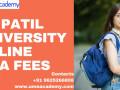 dy-patil-university-online-mba-fees-small-0