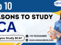 top-10-reasons-to-study-bca-small-0