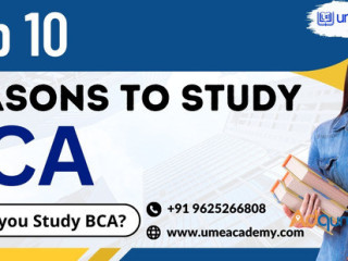 Top 10 Reasons To Study BCA