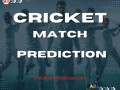 cricket-match-predictions-small-0