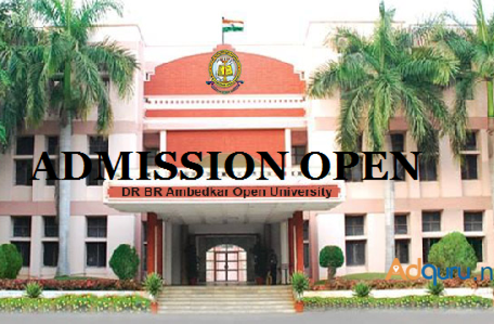 dr-br-ambedkar-open-university-distance-mba-big-0