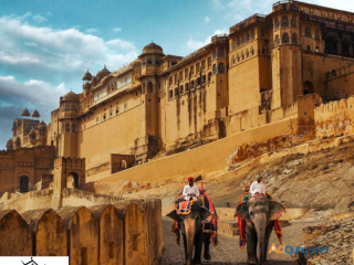 Explore the Rich Heritage of Rajasthan