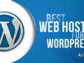 want-to-get-the-best-web-hosting-for-wordpress-small-0